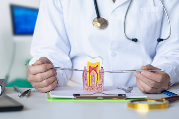 Best Emergency Wisdom Teeth Removal in Cockeysville, MD